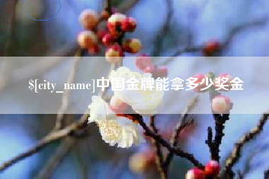 恩施中国金牌能拿多少奖金