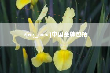 恩施中国金牌包括