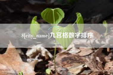 恩施九宫格数字排序
