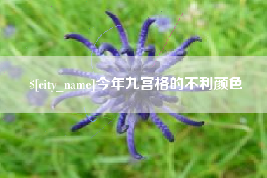 恩施今年九宫格的不利颜色