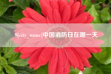 恩施中国消防日在哪一天