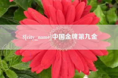 恩施中国金牌第九金