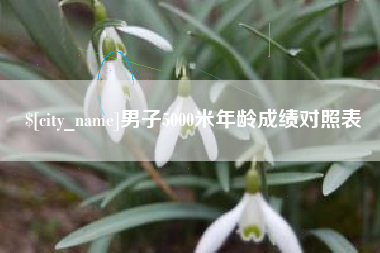 恩施男子5000米年龄成绩对照表