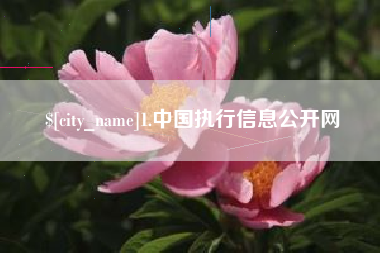 恩施1.中国执行信息公开网