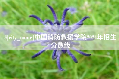 恩施中国消防救援学院2024年招生分数线