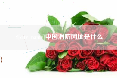 恩施中国消防网址是什么