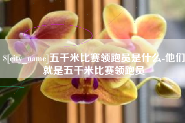 恩施五千米比赛领跑员是什么-他们就是五千米比赛领跑员