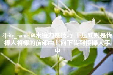 恩施60米接力赛技巧-下压式则是传棒人将棒的前部由上向下传到接棒人手中