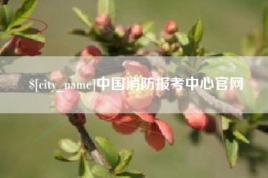 恩施中国消防报考中心官网