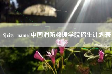 恩施中国消防救援学院招生计划表