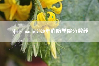 恩施2020年消防学院分数线