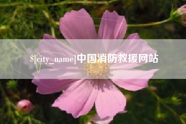 恩施中国消防救援网站