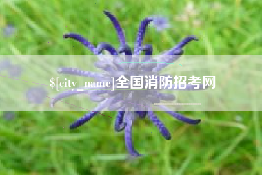恩施全国消防招考网