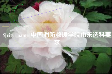恩施中国消防救援学院山东选科要求