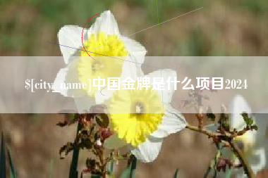 恩施中国金牌是什么项目2024