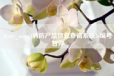 恩施消防产品信息查询系统3c编号暂停