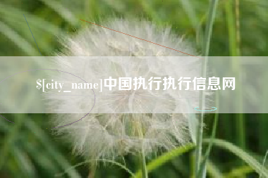 恩施中国执行执行信息网
