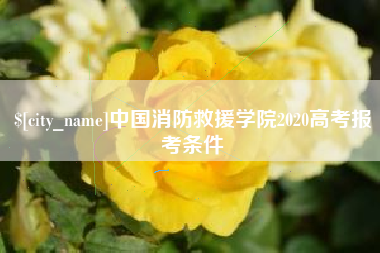 恩施中国消防救援学院2020高考报考条件