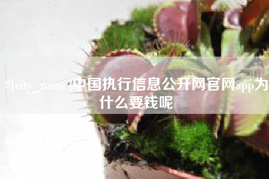 恩施中国执行信息公开网官网app为什么要钱呢