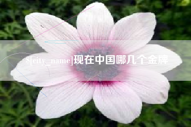 恩施现在中国哪几个金牌