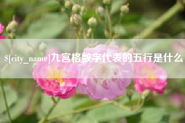 恩施九宫格数字代表的五行是什么