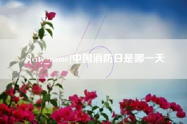 恩施中国消防日是哪一天