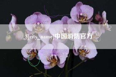 恩施中国消防官方