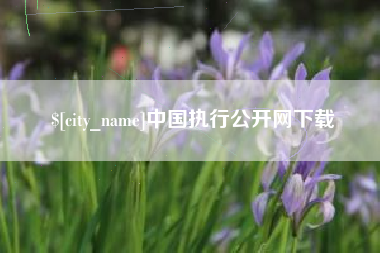 恩施中国执行公开网下载