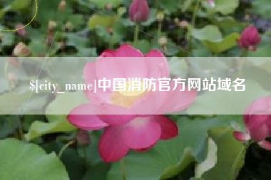 恩施中国消防官方网站域名