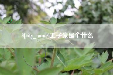 恩施王子豪是个什么
