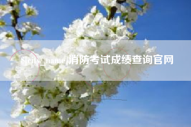 恩施消防考试成绩查询官网