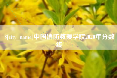 恩施中国消防救援学院2020年分数线