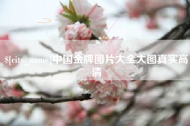恩施中国金牌图片大全大图真实高清