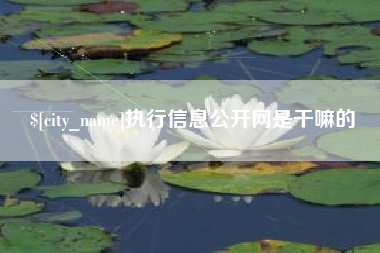 恩施执行信息公开网是干嘛的