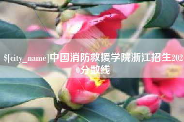恩施中国消防救援学院浙江招生2020分数线