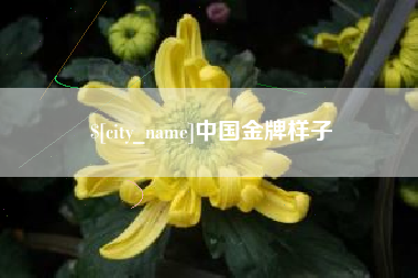 恩施中国金牌样子