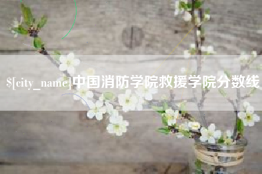 恩施中国消防学院救援学院分数线