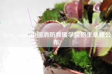 恩施中国消防救援学院招生章程公布!