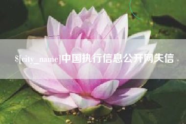 恩施中国执行信息公开网失信