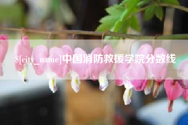 恩施中国消防救援学院分数线