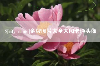 恩施金牌图片大全大图卡通头像
