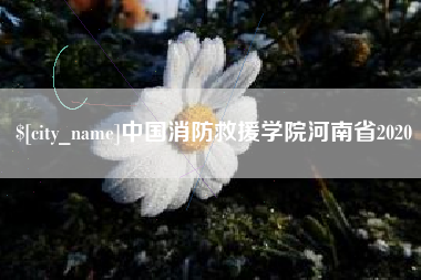 恩施中国消防救援学院河南省2020